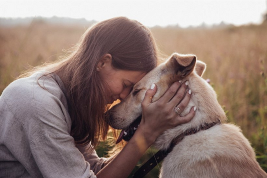 The Powerful Health Benefits of Owning a Pet: Boosting Mental and Physical Well-being