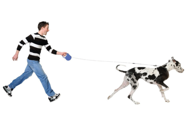 The Hidden Dangers of Retractable Leashes: Why You Should Think Twice Before Using Them