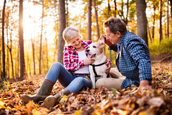 Top Activities to Enjoy with Your Dog: Strengthening the Bond While Having Fun